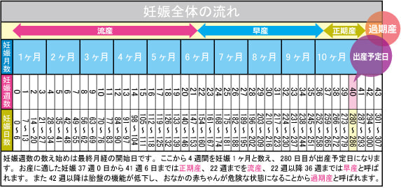 計算 カレンダー 妊娠 週 数