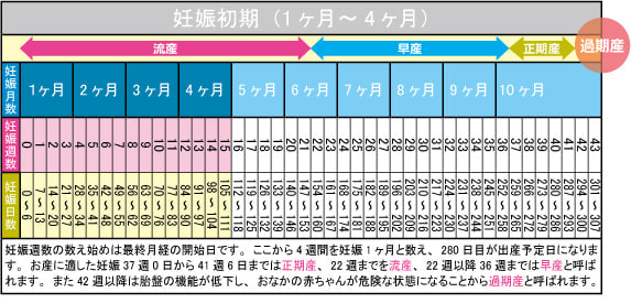 妊娠初期（1ヶ月～4ヶ月）カレンダー