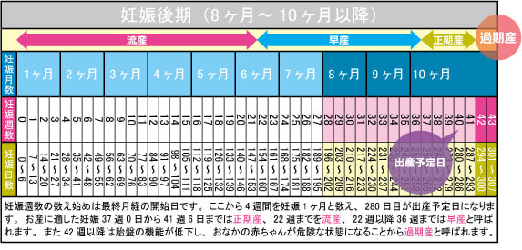 妊娠後期（8ヶ月～10ヶ月以降）カレンダー