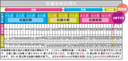 妊娠カレンダー