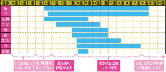 妊娠中・薬に注意する時期グラフ