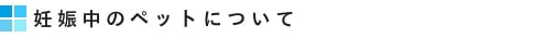 妊娠中のペットについて