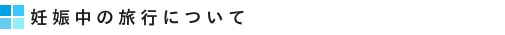 妊娠中の旅行について