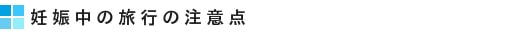 妊娠中の旅行の注意点