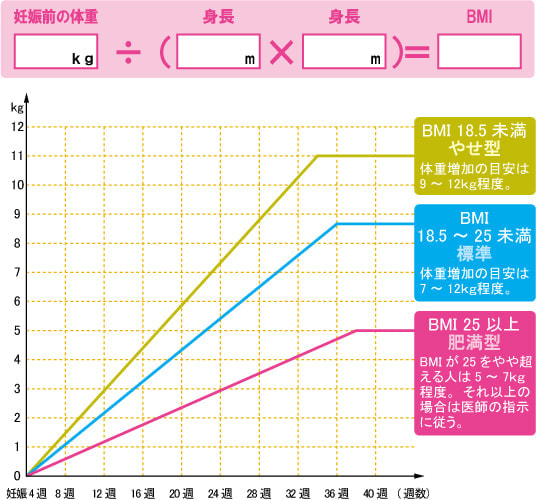 妊娠中の体重増加目安・グラフ