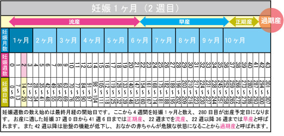 妊娠１ヶ月（2週目）カレンダー