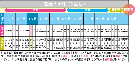 妊娠3ヶ月（9週目）カレンダー