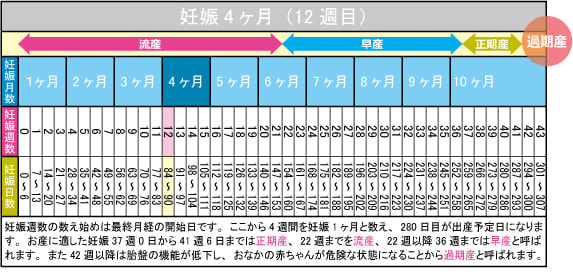 妊娠4ヶ月（12週目）カレンダー