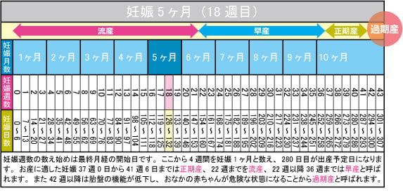 妊娠5ヶ月（18週目）カレンダー