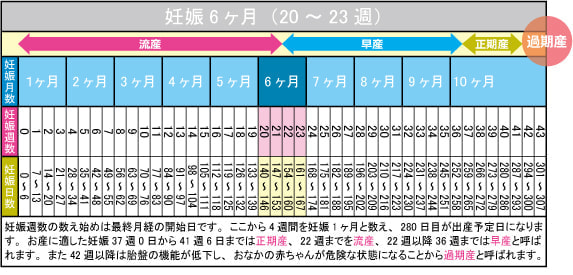妊娠6ヶ月(20~23週)カレンダー