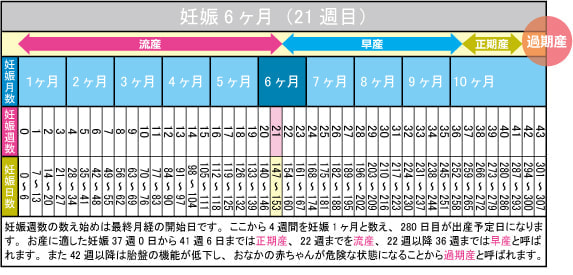 妊娠6ヶ月（21週目）カレンダー