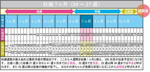 妊娠7ヶ月（24～27週）カレンダー