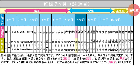 妊娠7ヶ月（24週目）カレンダー