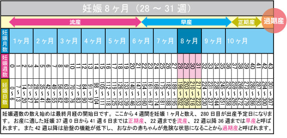 妊娠8ヶ月（28～31週）カレンダー