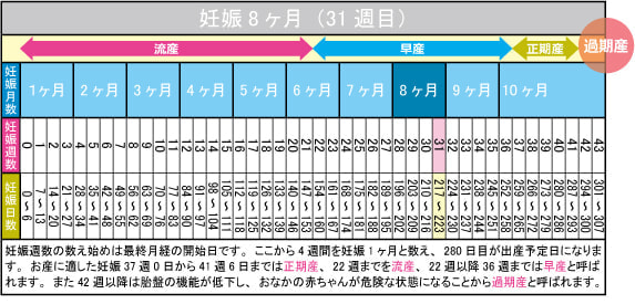 妊娠8ヶ月(31週目)カレンダー