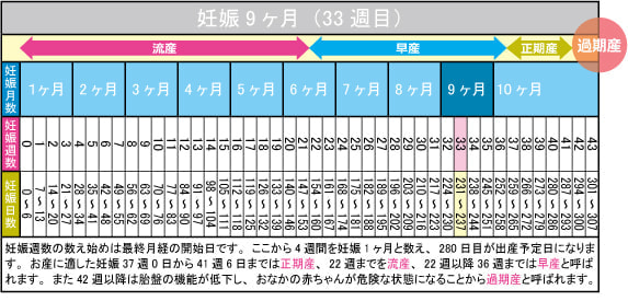 妊娠9ヶ月（33週目）カレンダー