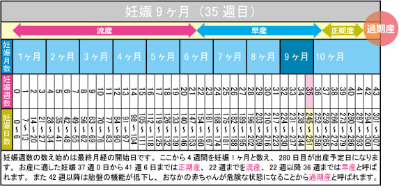 妊娠9ヶ月（35週目）カレンダー