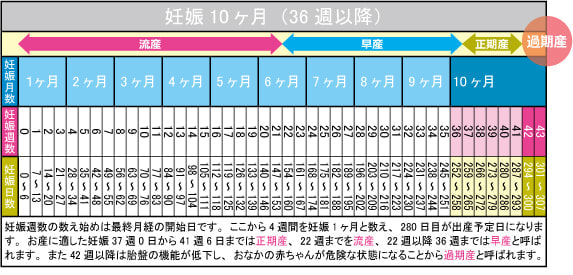 妊娠10ヶ月（36週～41週）カレンダー