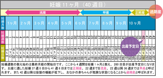 出産予定日（40週目）カレンダー